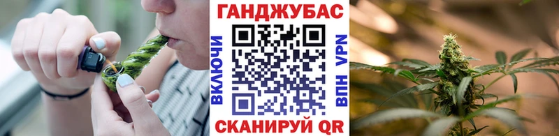 Сколько стоит Выборг КОКАИН  Гашиш  МЕТАДОН  Конопля 