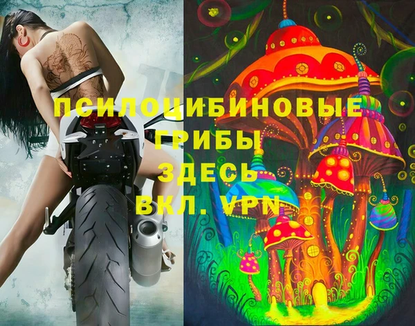 гидра Верея