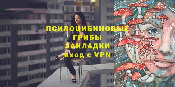 гидра Верея