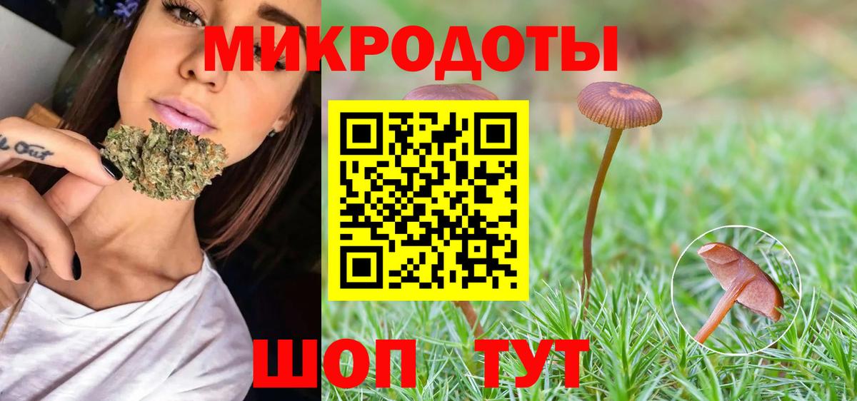 Выборг  Галлюциногенные грибы MAGIC MUSHROOMS  Вход с VPN 