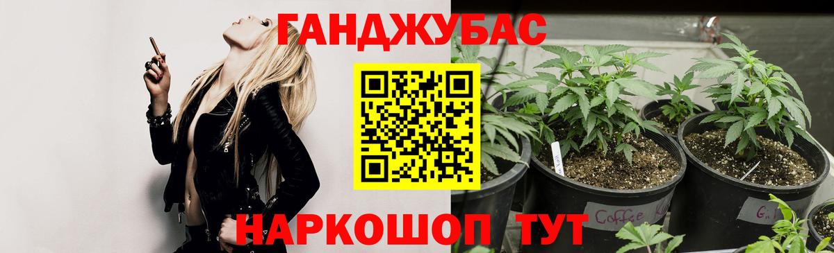 Каннабис OG Kush Выборг